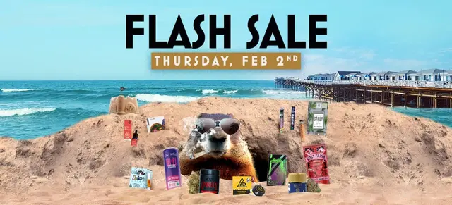 Groundhogs day flash sale