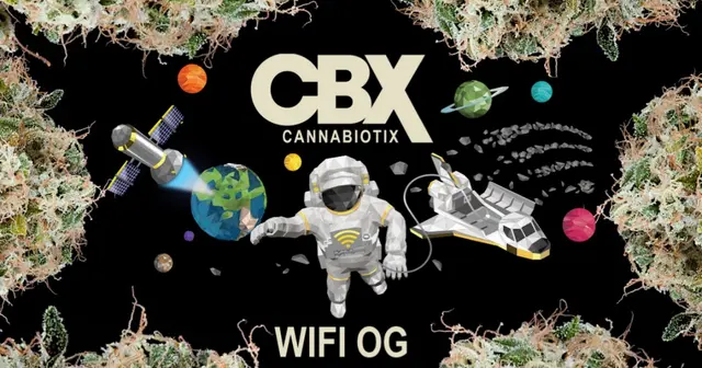 CBX Wifi OG Strain